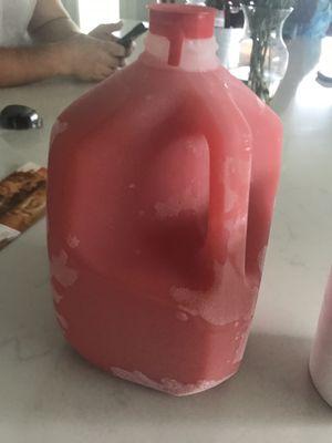 Gallon of frozen jungle juice!!