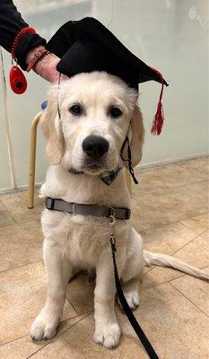 Puppy graduate