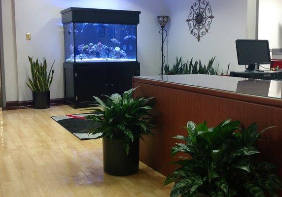 This could be your new reception area!