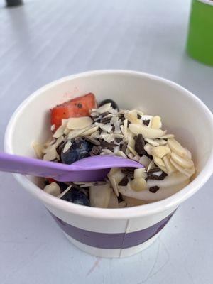 Twisted Frozen Yogurt