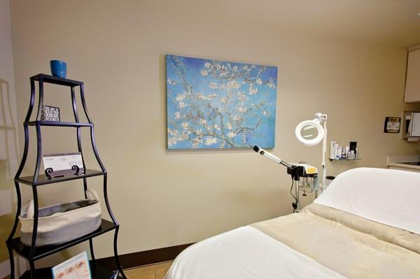 Aesthetician Room