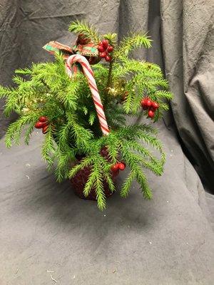 Boston Massachusetts Christmas Themes Corporate Office Plantscape Designs Inc