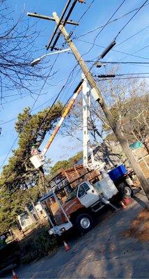 Bucket truck  tree removal