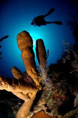 California Scuba Center