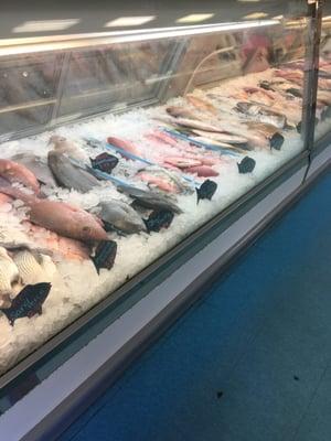 Fresh fish