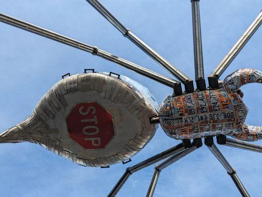 Giant License Plate Spider