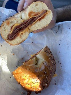 Everything bagel with Taylor ham and cheese