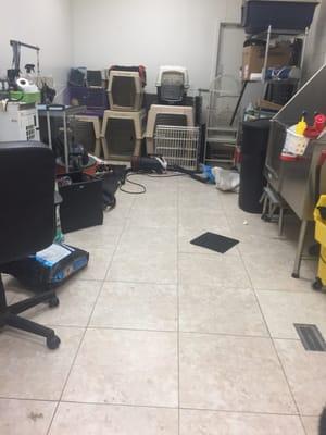 Grooming room. Kind of disorganized