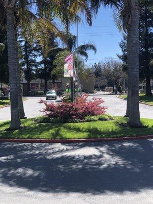 Rivercourt Apartments in Sacramento.......such a lovely Community.