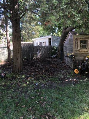 They had cleared had an entire dump truck full of branches that we had just piled up in this area through the years.