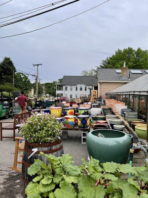 The Beautiful colorful  array of plants & flowers outside the store  @ Wilson Farm in Lexington MA.