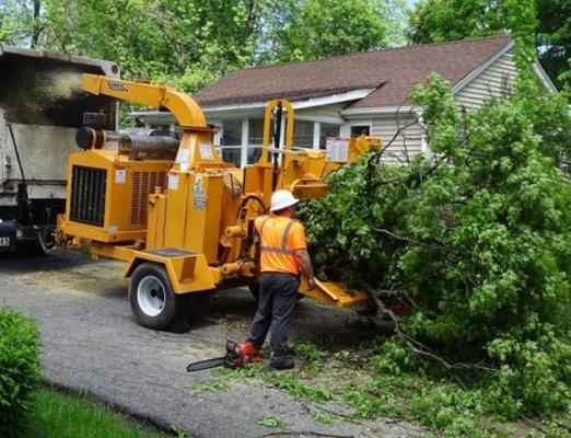 Brush chipping