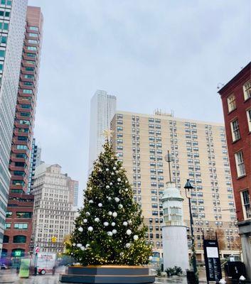 Seaport's Christmas tree