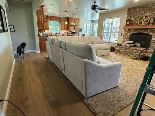 Family room with beautiful engineered wood floor