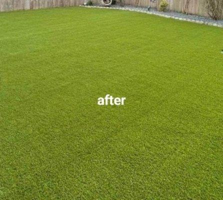 After artificial turf installation