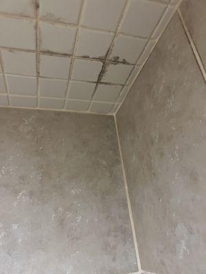 Mold in the shower