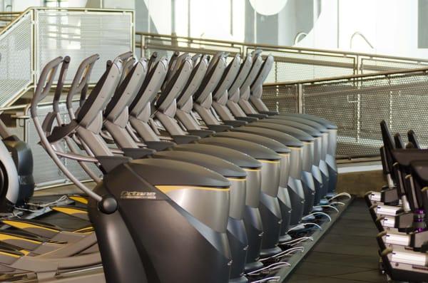 Octane elliptical trainers