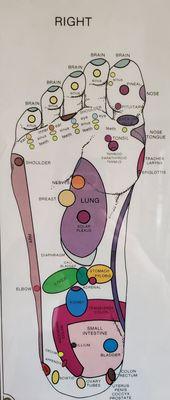 Reflexology