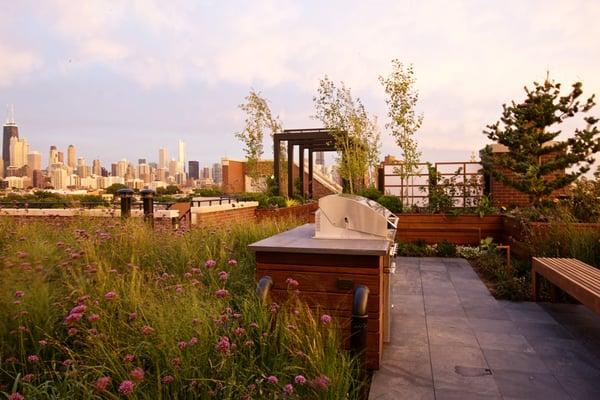 Lincoln Park Rooftop