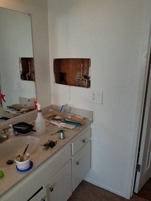 Plumbing problems. Old management left my wall open for a month.