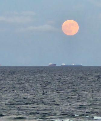 view from shared balcony of full moon rising over the Gulf of Mexico.