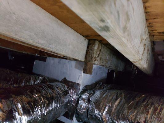 Here is an example of how new upgraded ductwork will look like. Out with the old, in with the new!