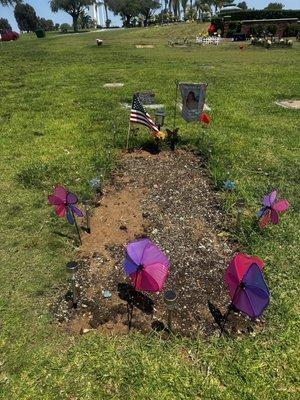 07/26 11:53 am checking to see if grass was planted, 24 days after funeral