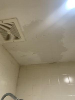 Shower ceiling