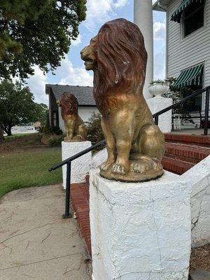 Lions on front porch