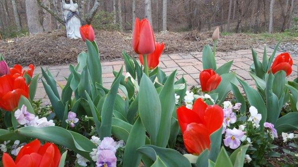 Flowers at our Work Sites