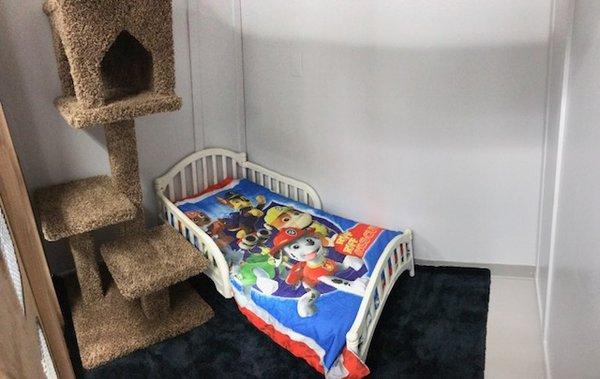 Paw patrol condo