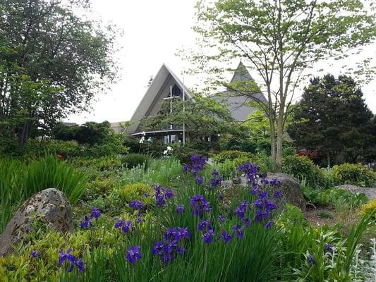 Newport in spring--the church has a beautiful and beautifully taken care of property.