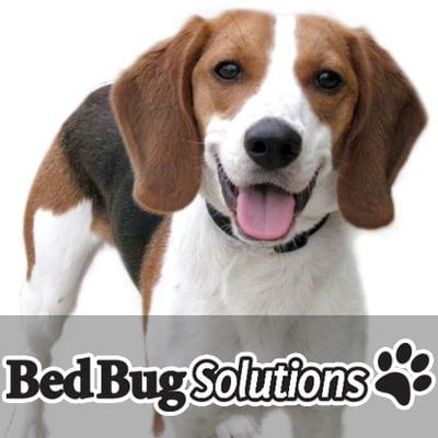 Bed Bug Solutions