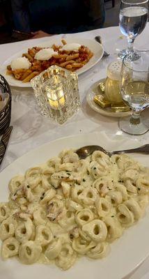 Tortellini Alfredo  Penne Tuscany