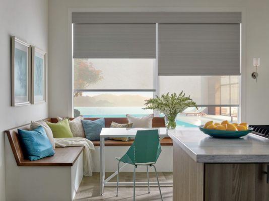 Duolite Roller Shades from Hunter Douglas....2 shades in 1