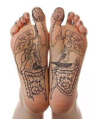 Cedar Park Reflexology