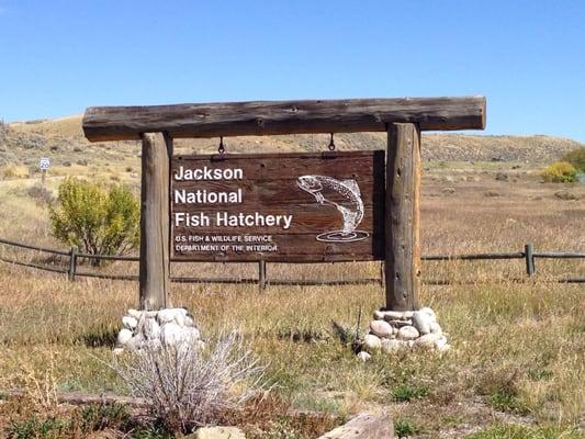 Entrance to the hatchery