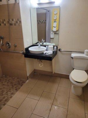 Great, accessible bathroom