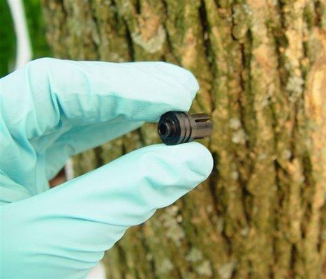 Using arborjet products to treat tree diseases safely