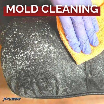 Were your personal items damaged by mold? Our state-of-the-art, fully certified mold cleaning facility and seasoned pros can help.