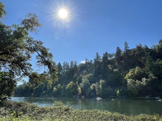 View of the Umpqua River from River Forks County Park.