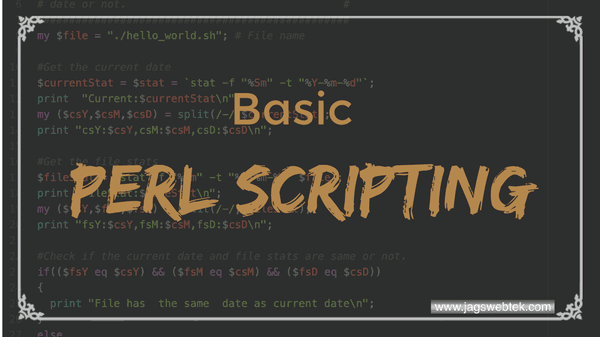 Providing Basic PERL Scripting Service