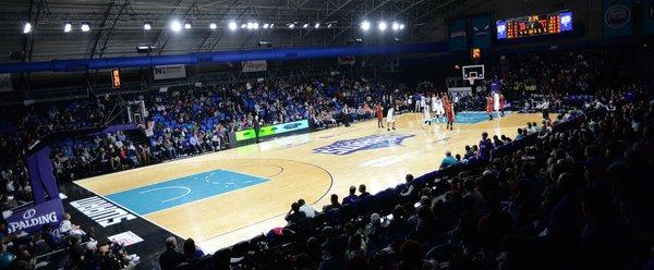 The Swarm play inside The Fieldhouse at the Greensboro Coliseum Complex. Seating capacity is 2,118.