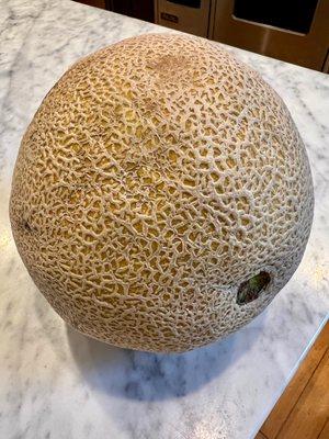 Pecos melon.