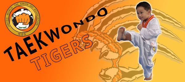 Taekwondo Tigers Program