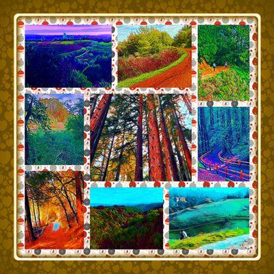 Montage of images from Roberts Regional Recreational Area