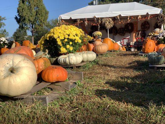 Apex Farmers Market