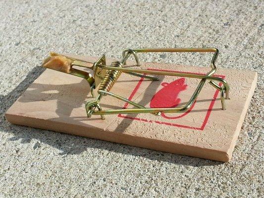 Mouse trap