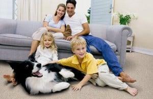 Eco freindly, Family and pet safe green cleaning!