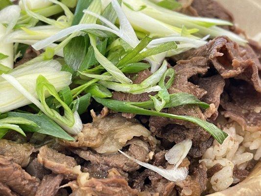 Beef Bowl- served warm and a big bowl